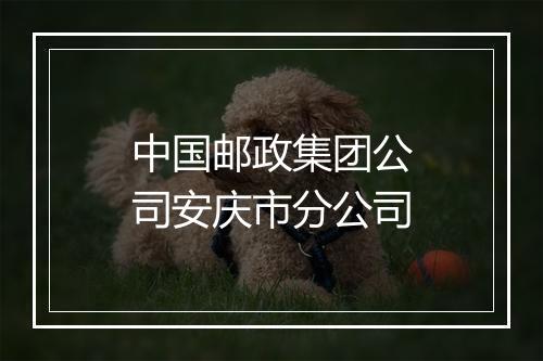 中国邮政集团公司安庆市分公司
