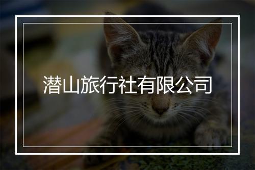 潜山旅行社有限公司