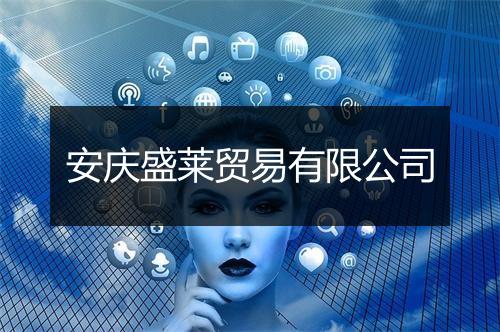 安庆盛莱贸易有限公司