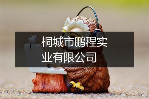 桐城市鹏程实业有限公司