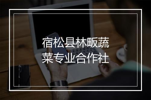 宿松县林畈蔬菜专业合作社