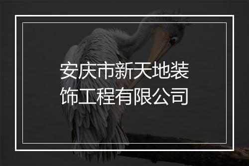 安庆市新天地装饰工程有限公司