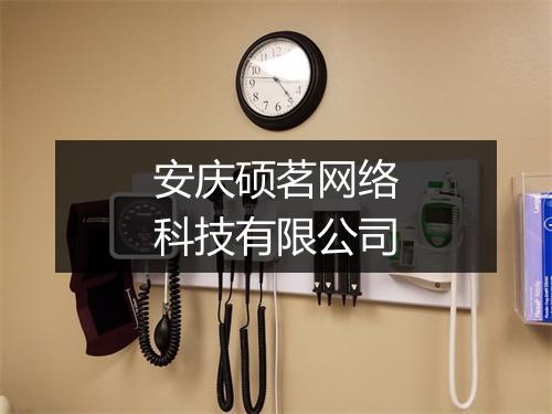 安庆硕茗网络科技有限公司