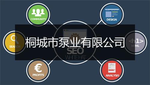 桐城市泵业有限公司