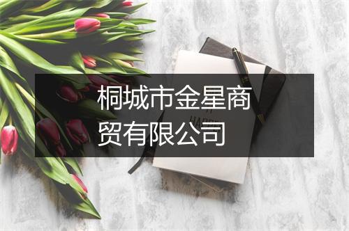 桐城市金星商贸有限公司