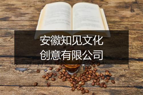安徽知见文化创意有限公司
