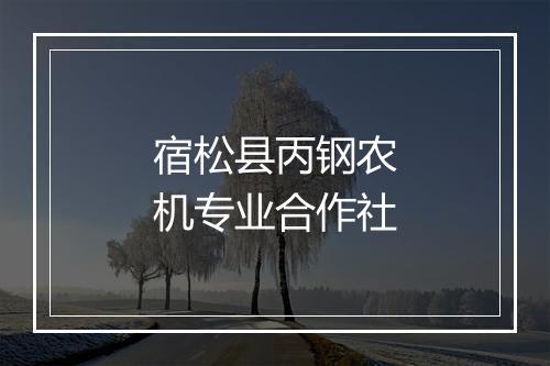 宿松县丙钢农机专业合作社