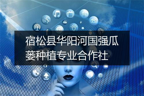 宿松县华阳河国强瓜蒌种植专业合作社