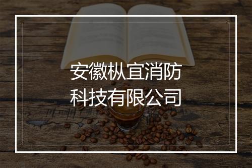 安徽枞宜消防科技有限公司