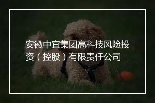 安徽中宜集团高科技风险投资（控股）有限责任公司