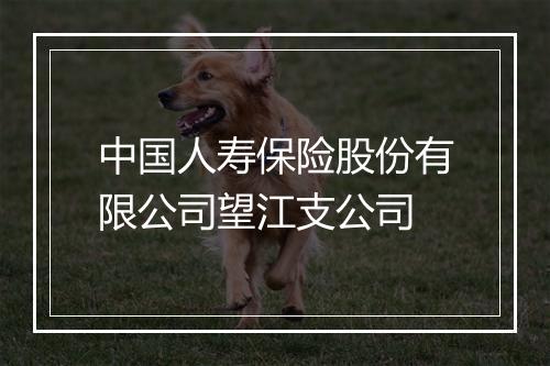 中国人寿保险股份有限公司望江支公司
