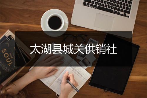太湖县城关供销社