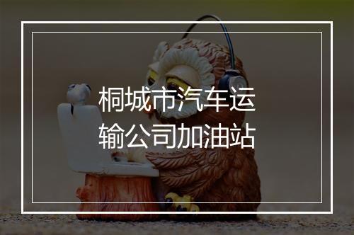 桐城市汽车运输公司加油站