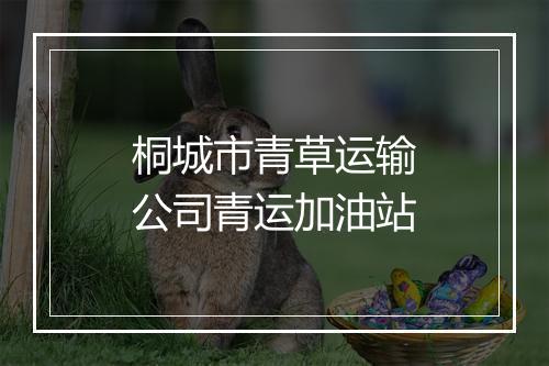 桐城市青草运输公司青运加油站
