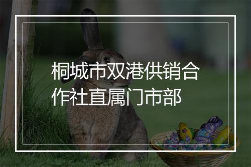 桐城市双港供销合作社直属门市部