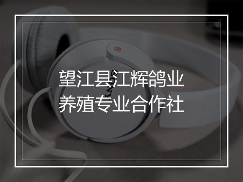望江县江辉鸽业养殖专业合作社