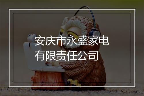 安庆市永盛家电有限责任公司