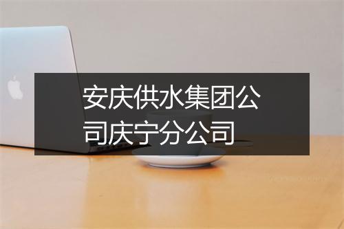 安庆供水集团公司庆宁分公司