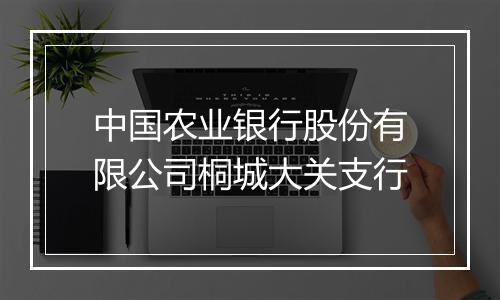 中国农业银行股份有限公司桐城大关支行