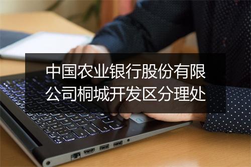 中国农业银行股份有限公司桐城开发区分理处