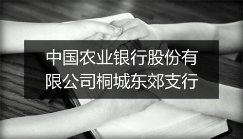中国农业银行股份有限公司桐城东郊支行