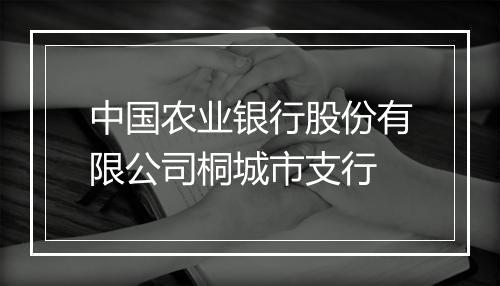 中国农业银行股份有限公司桐城市支行