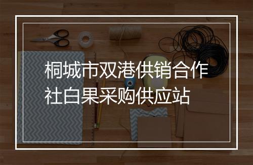 桐城市双港供销合作社白果采购供应站
