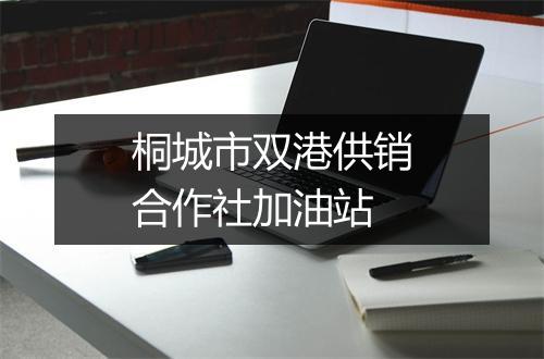 桐城市双港供销合作社加油站