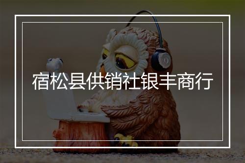 宿松县供销社银丰商行