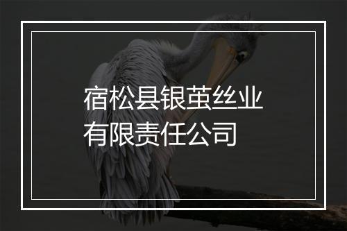 宿松县银茧丝业有限责任公司