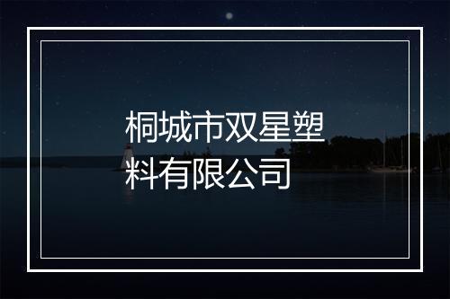 桐城市双星塑料有限公司