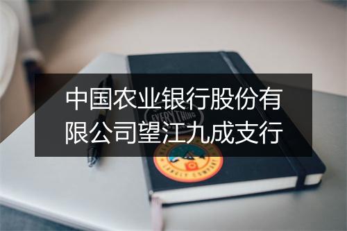 中国农业银行股份有限公司望江九成支行