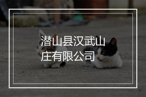 潜山县汉武山庄有限公司