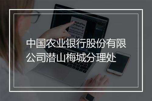 中国农业银行股份有限公司潜山梅城分理处
