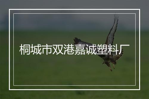 桐城市双港嘉诚塑料厂