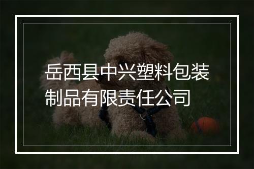岳西县中兴塑料包装制品有限责任公司