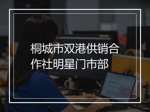 桐城市双港供销合作社明星门市部