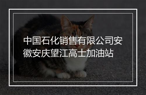 中国石化销售有限公司安徽安庆望江高士加油站