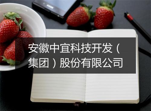 安徽中宜科技开发（集团）股份有限公司
