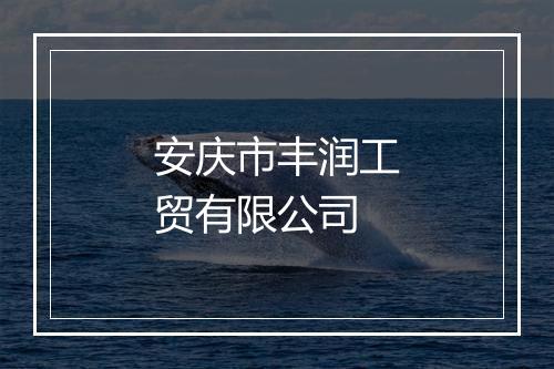 安庆市丰润工贸有限公司