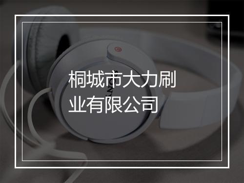 桐城市大力刷业有限公司