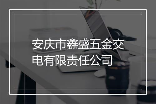 安庆市鑫盛五金交电有限责任公司