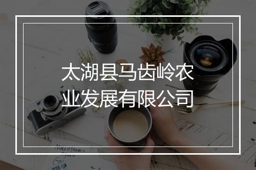 太湖县马齿岭农业发展有限公司