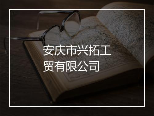 安庆市兴拓工贸有限公司