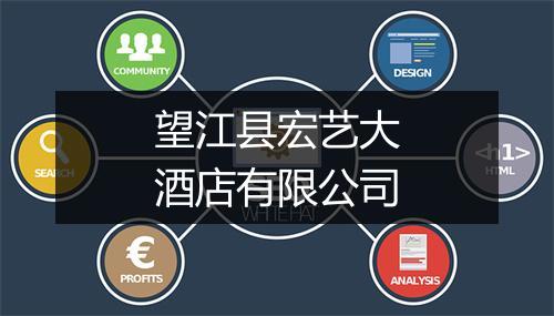 望江县宏艺大酒店有限公司