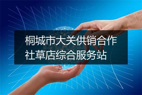 桐城市大关供销合作社草店综合服务站