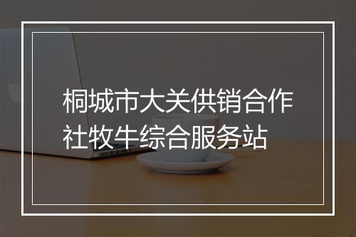 桐城市大关供销合作社牧牛综合服务站