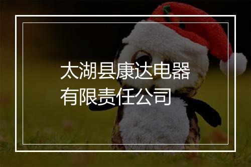 太湖县康达电器有限责任公司