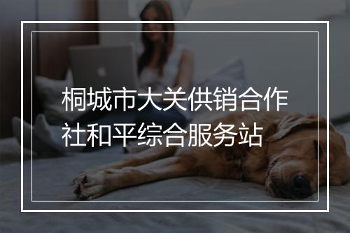 桐城市大关供销合作社和平综合服务站
