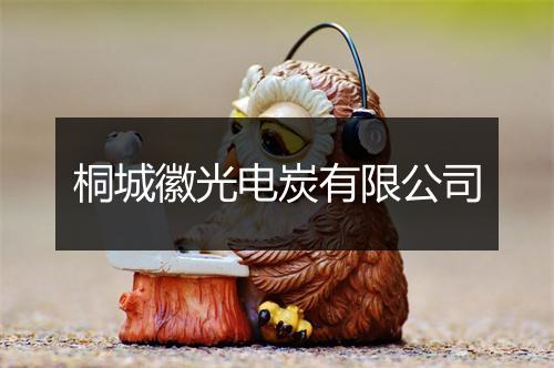桐城徽光电炭有限公司